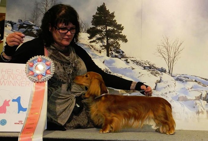 Helsinki Junior Winner 2016. Tuomari: Markku Lampero