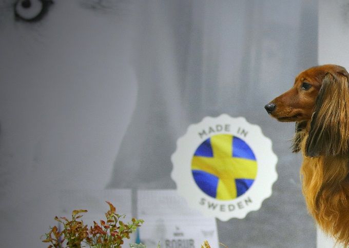 Pääerikoisnäyttely 2017 PN2